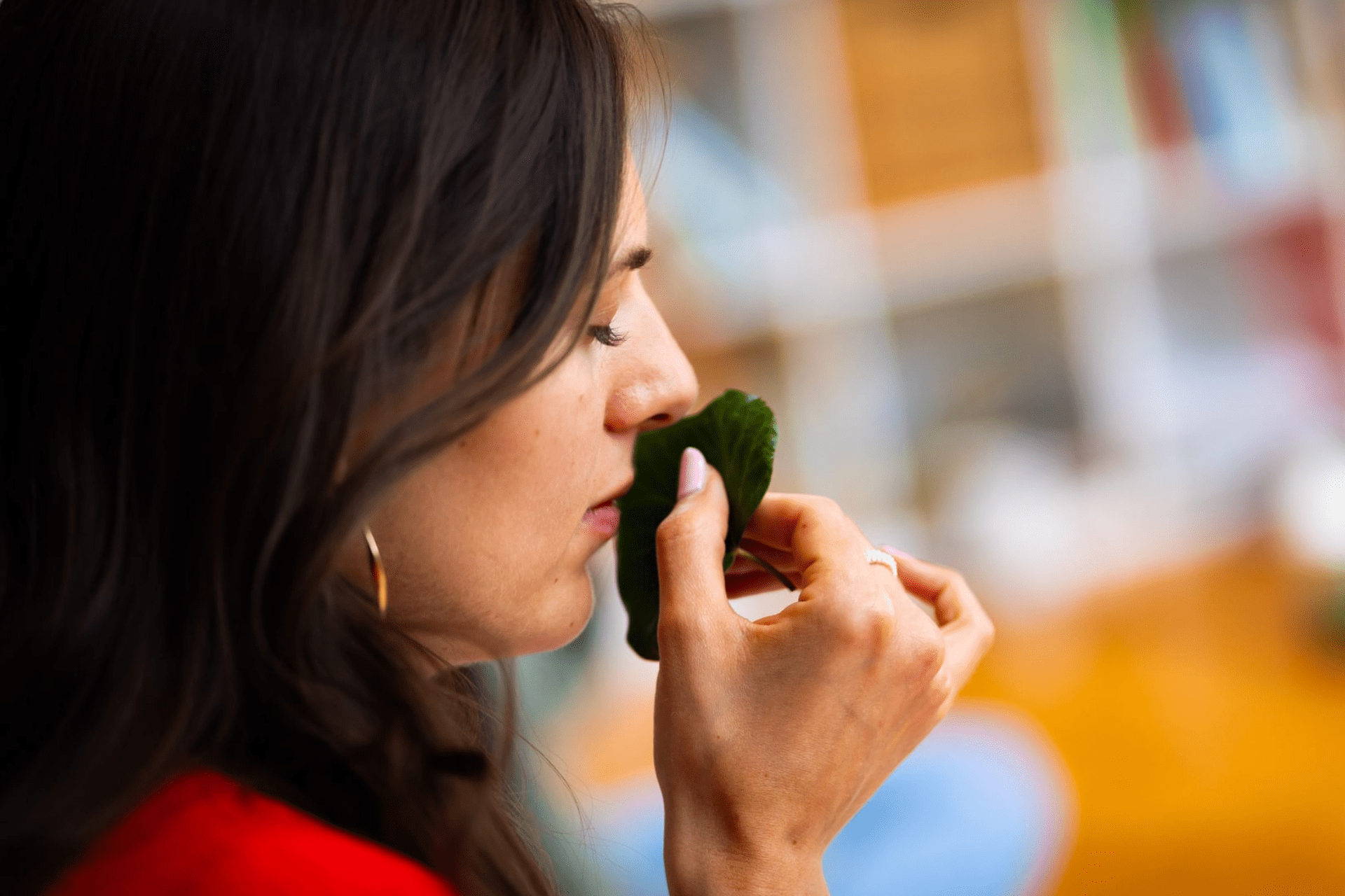 Impressionen: Seminar Naturheilkunde