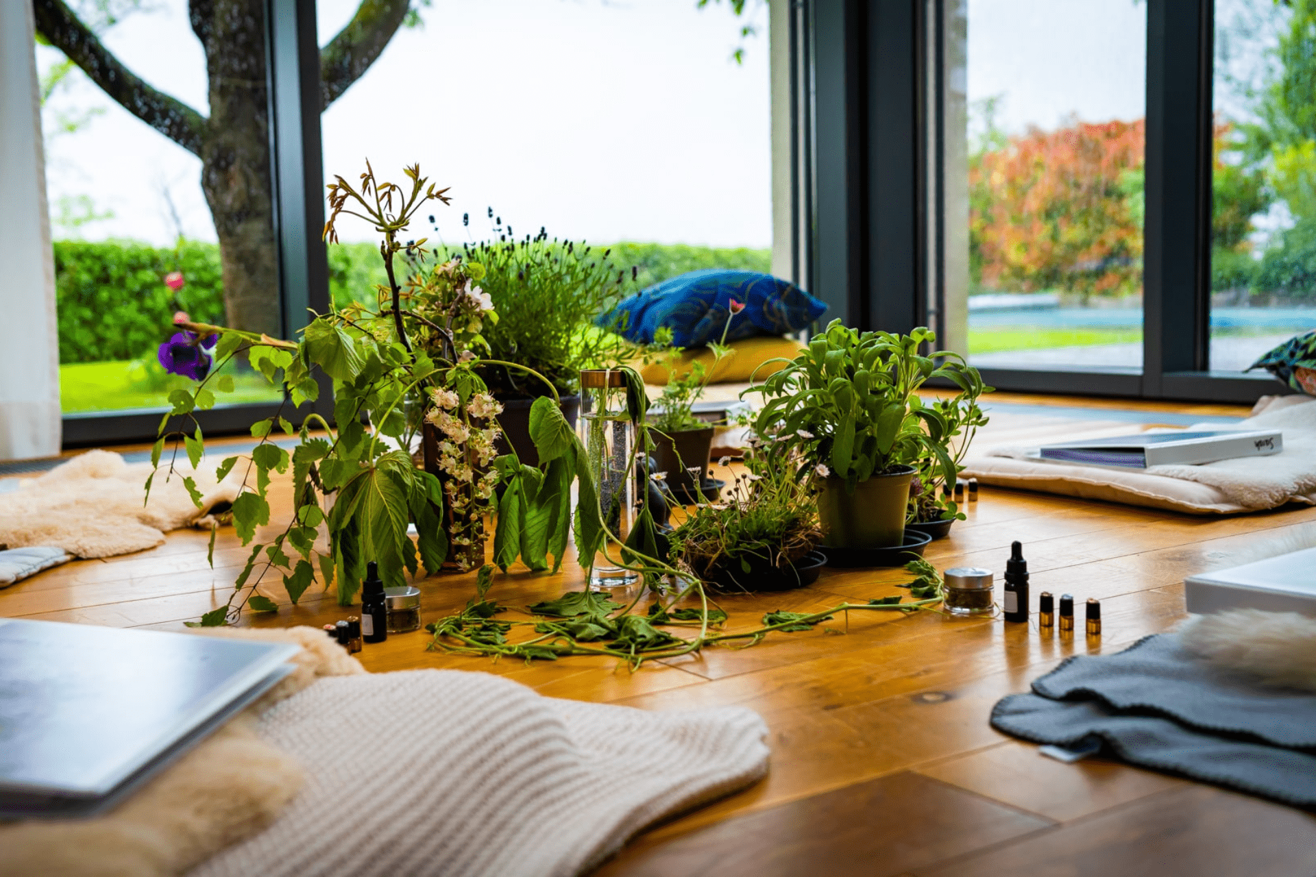 Impressionen: Seminar Naturheilkunde